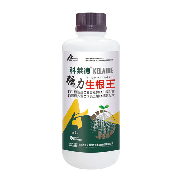 R-(qing)