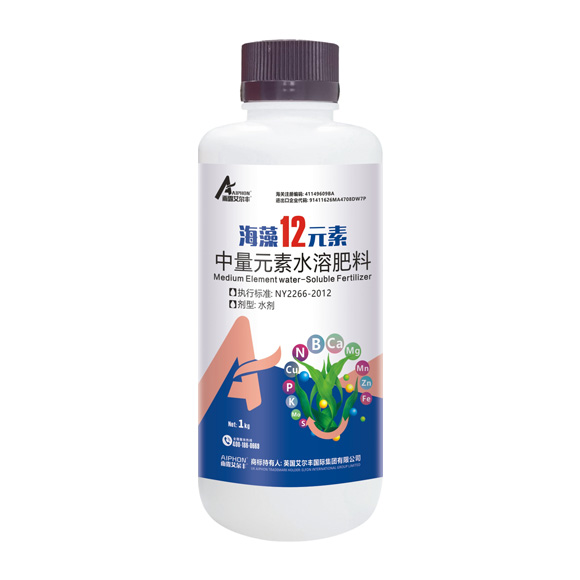 R-12Ԫ